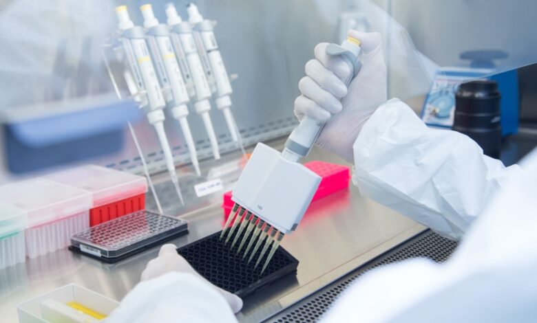 Scientist works with cell cultures in biotech lab.